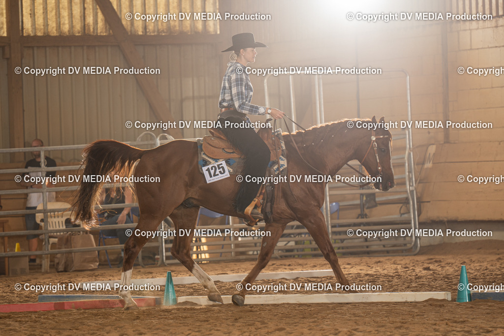 NID02655 | dv-media-shop - Realisiert mit Pictrs.com