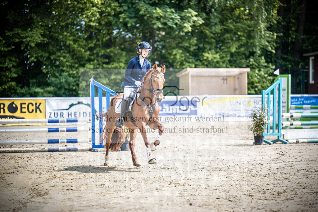 DOS_1217 | Reitturnier Venne - Realisiert mit Pictrs.com