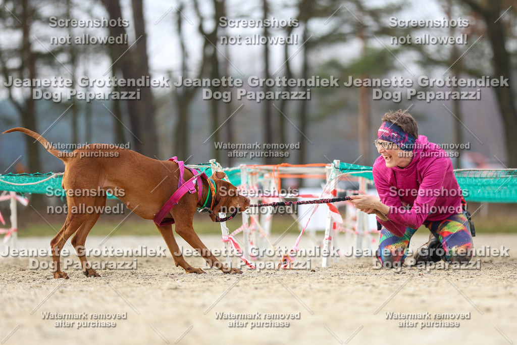 Dog Paparazzi - Strongdog North Mrz26-4321 | Dog Paparazzi Jeanette Grottendiek Fotografie & Videografie - Realisiert mit Pictrs.com