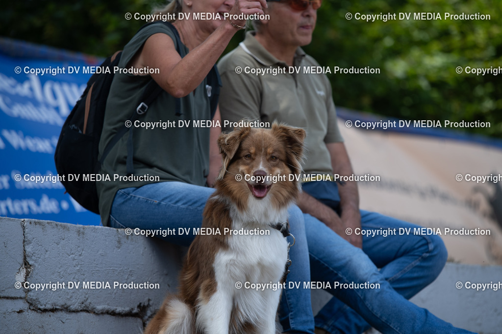 ZS3_9974 | dv-media-shop - Realisiert mit Pictrs.com