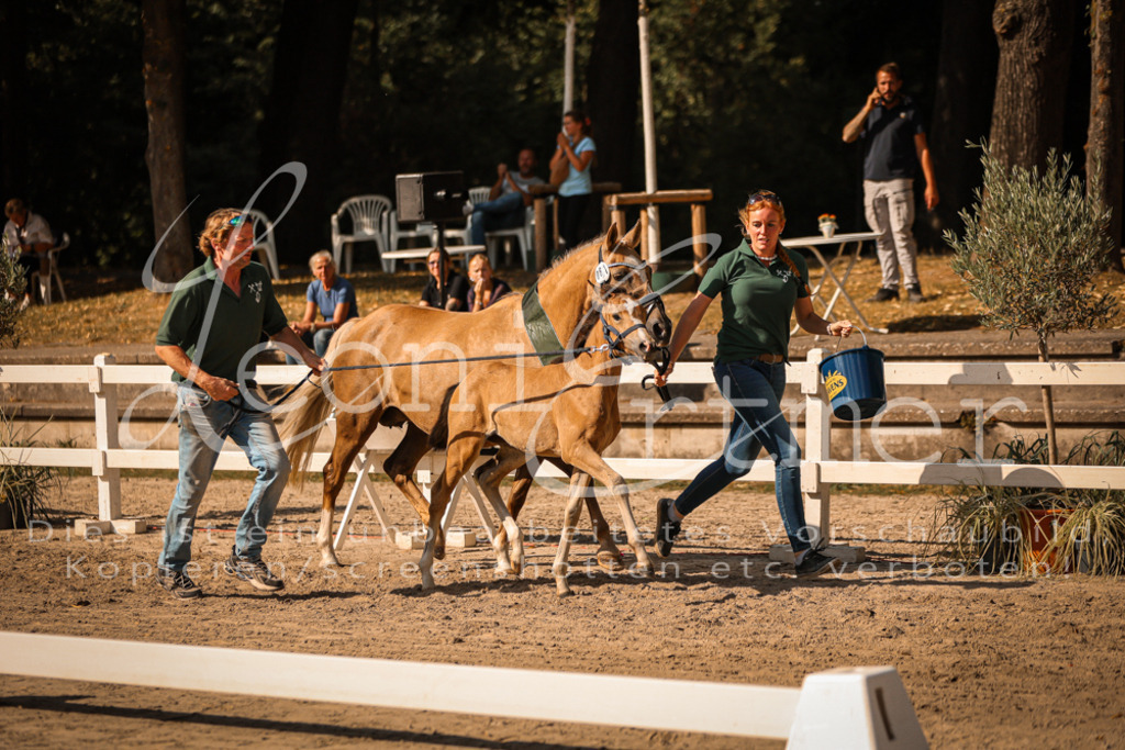 10.DoRP00241 | Leoni Ertmer Photography - Realisiert mit Pictrs.com