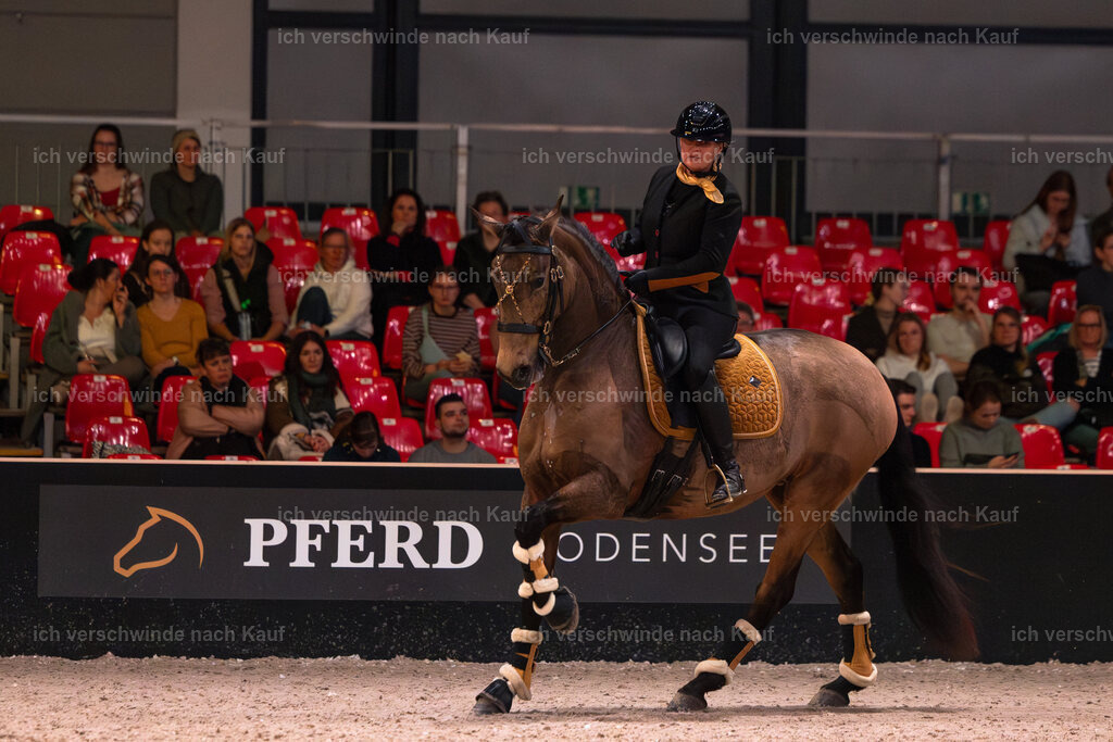 JoseraCup-59 | working equitationturnier fotograf videograf stoibphotography marixx film working equitation deutschland reitsport turnierfotografie eventfotografie equestrian events