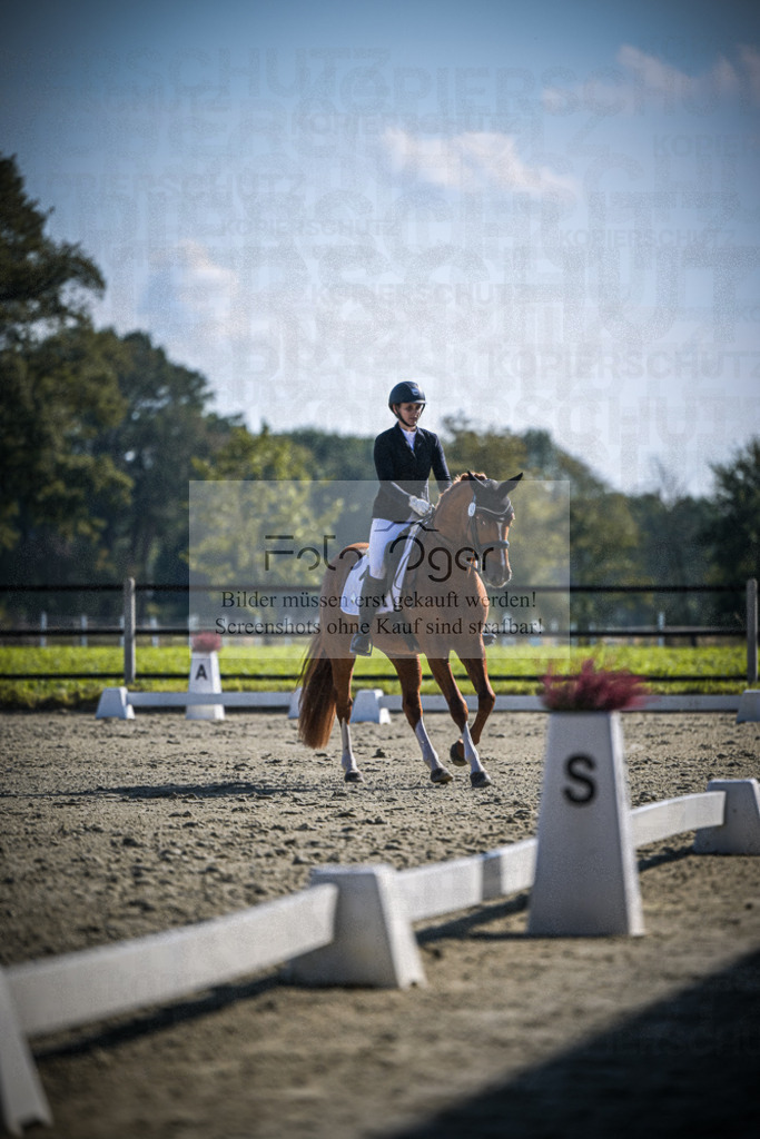 DOS_2831 | Entdecke hochwertige Reitturnierfotos von Foto Oger. Professionell, emotional und authentisch – jetzt Lieblingsmomente im Shop bestellen.Deutschlandweite Turnierfotografie. - Realisiert mit Pictrs.com