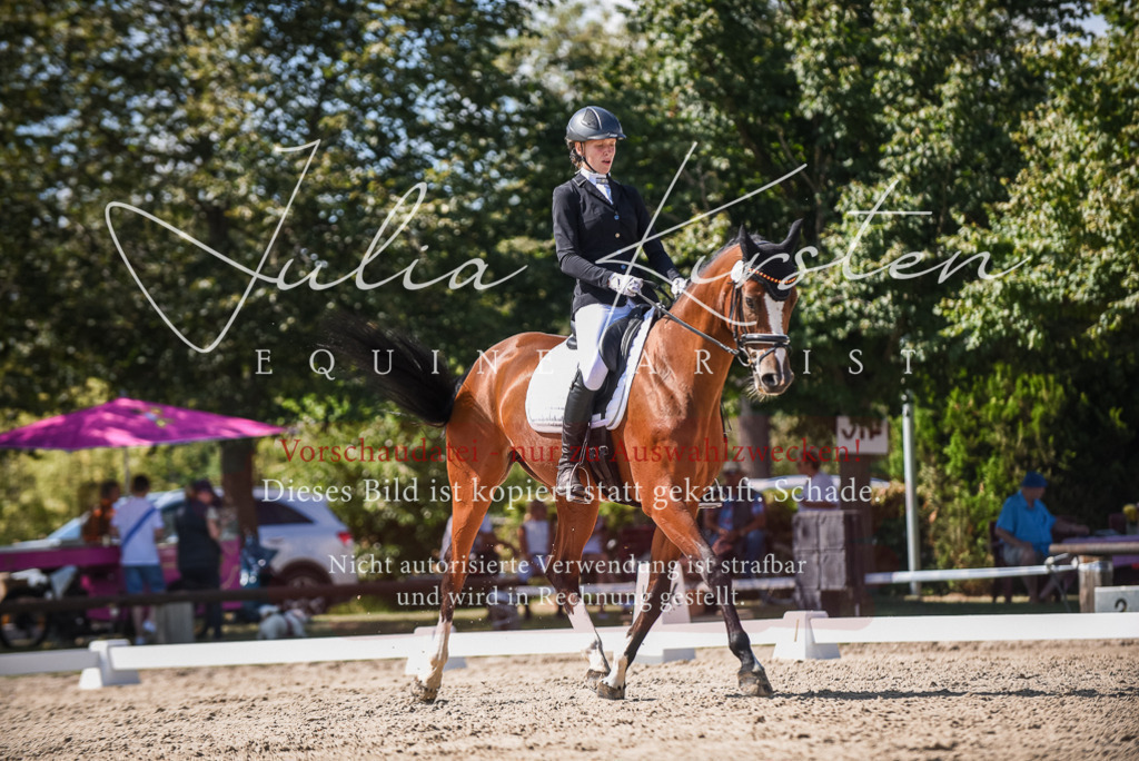 DSC_9471 | Pferde- und Turnierfotografie in Westsachsen. Pferdeportraits, Auftragszeichnungen und intuitive Kunst.