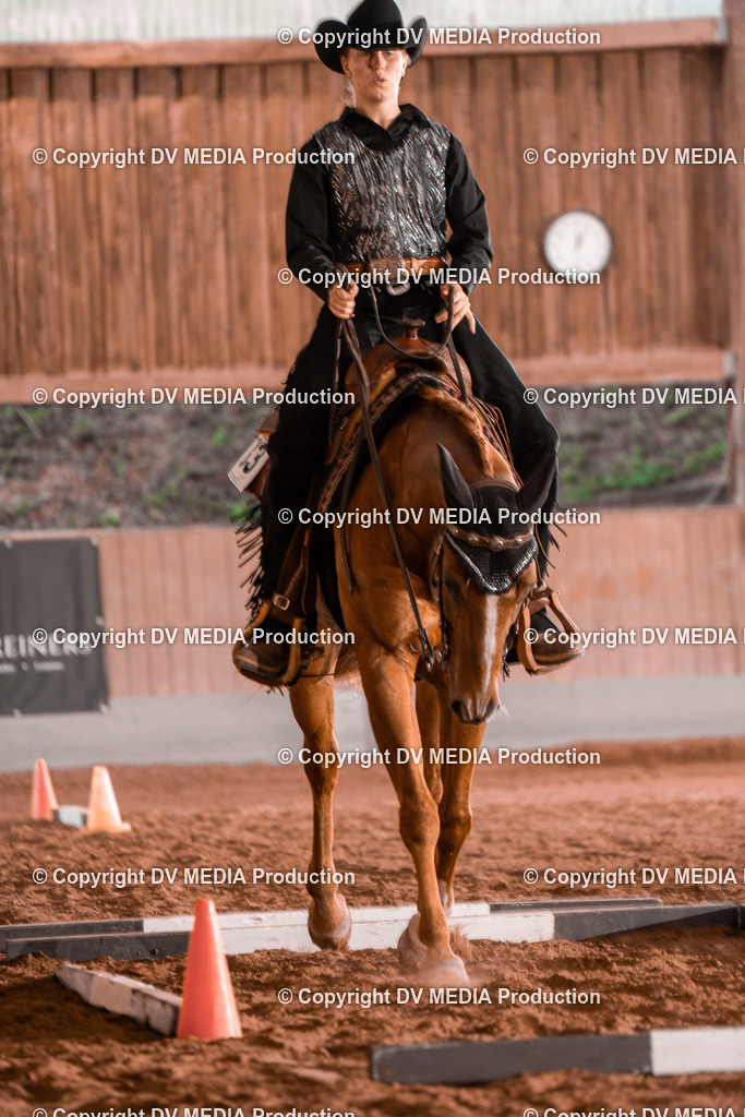 NE300163 | dv-media-shop - Realisiert mit Pictrs.com