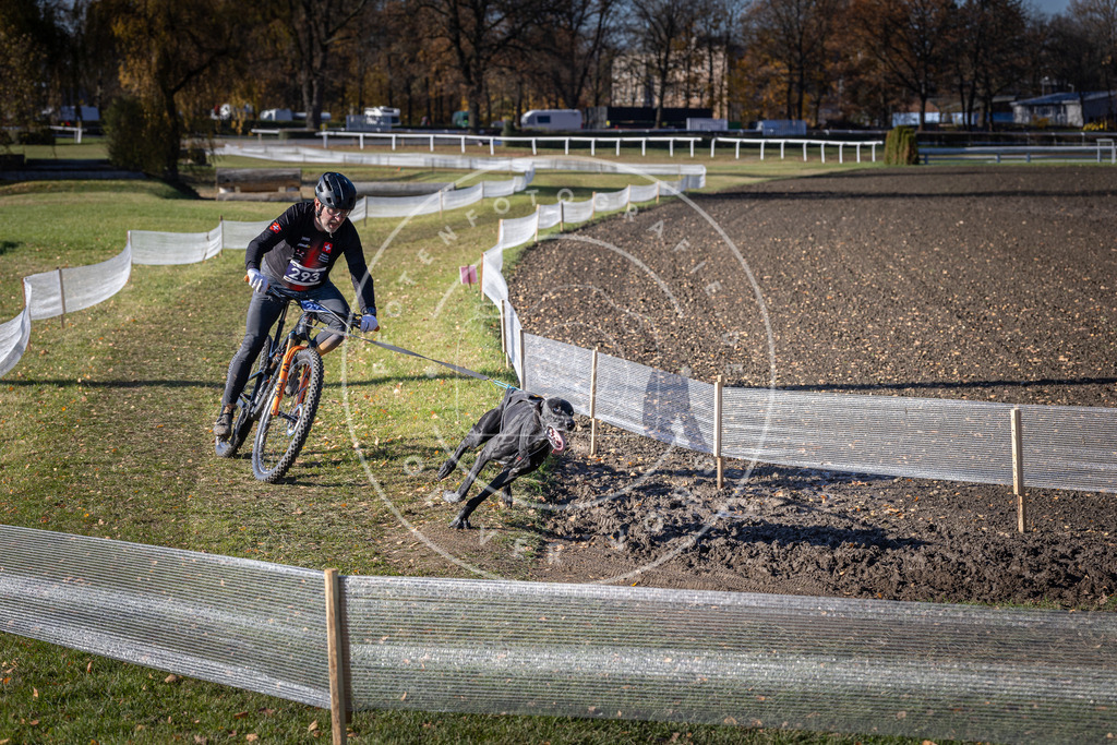 CaniXpix_DV3A5874 | Hundefotografie, Tierfotograf, Pfotenfotografie, Fotoshooting Hund, Hunde Portrait, Hundesport, Hundeportraits, Heideshooting, Hunde, Sportfotograf, Hundefotograf, Turnierhundsport, THS,  - Realisiert mit Pictrs.com
