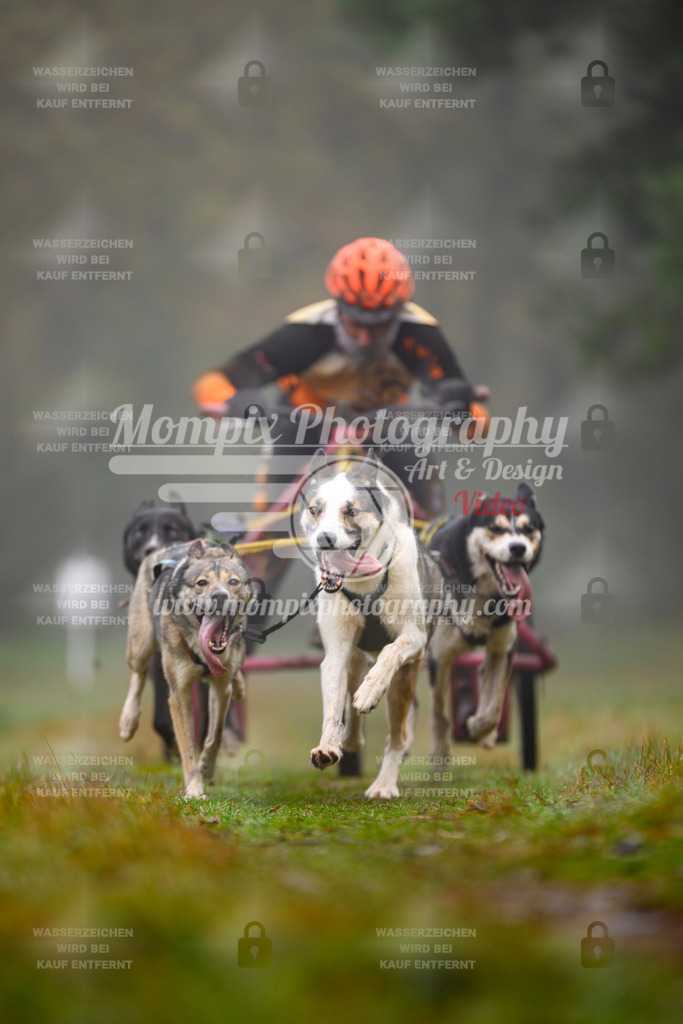 MompixPhotography_Bischwiller2025_Kart-2 | mompixphotography