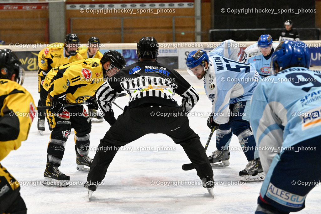 EC Spittal Hornets vs. ESC Steindorf 28.10.2023 | Kucher Florian, #57 Wilfan Franz