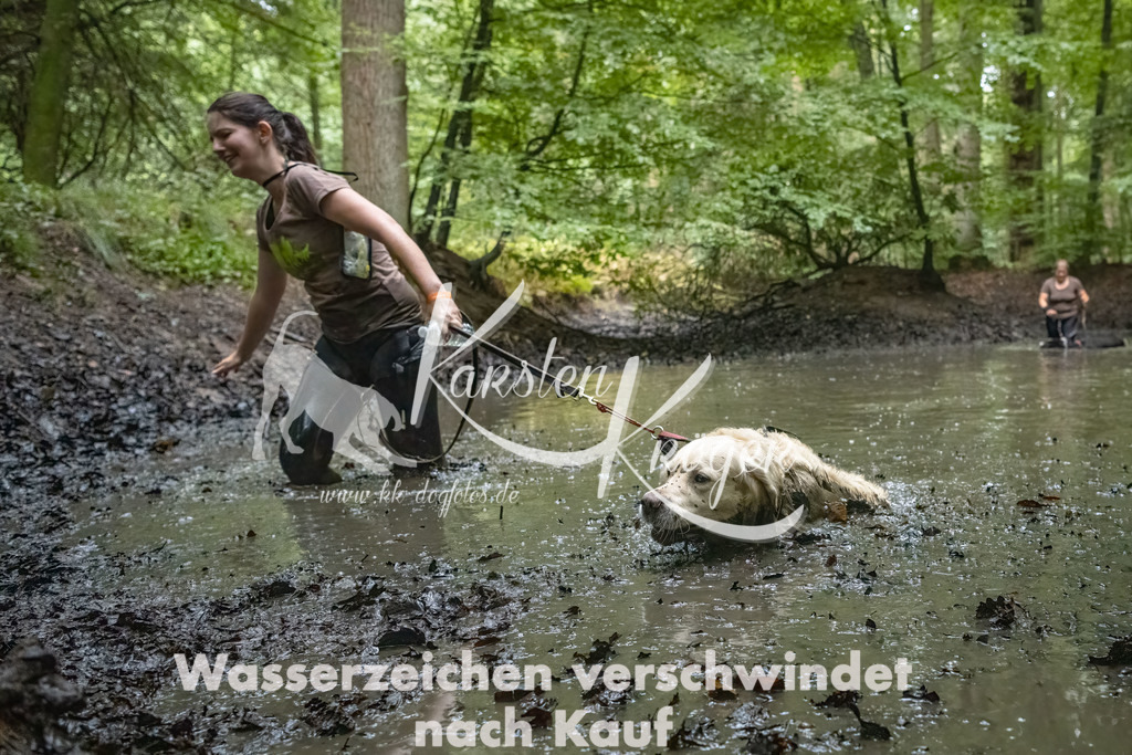 1156_ZZ90249-Bearbeitet-2 | kk-dogfotos