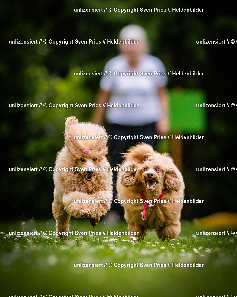 Sven Pries | 2025-05-29 - Pudelrennen KA-Durlach - Realisiert mit Pictrs.com