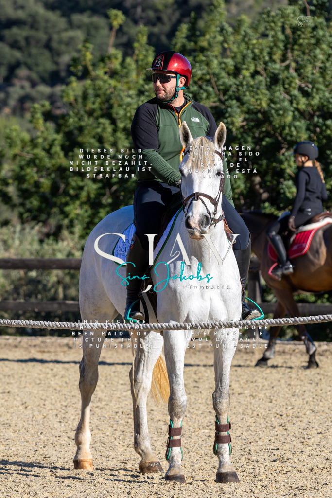 IMG_2207 | s-jay-photography - Realisiert mit Pictrs.com