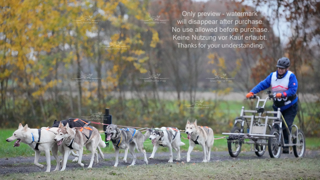 Visbeck_Sa_D4_6-54 | stephaniefillaphotographie - Realisiert mit Pictrs.com