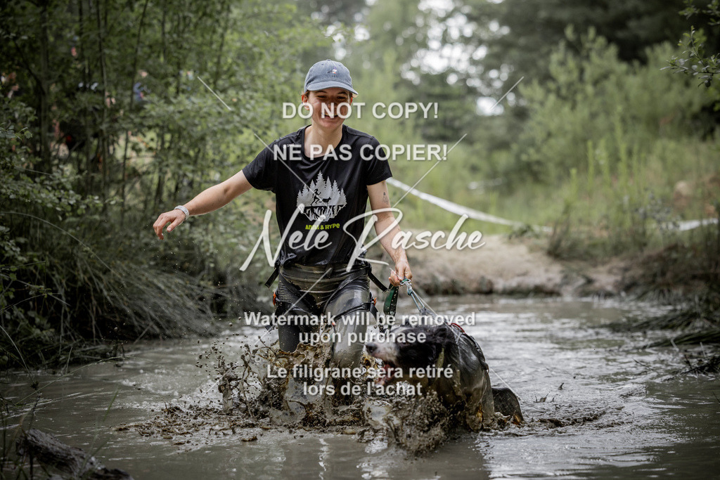 nelerasche_so0800-0930_528 | nelerasche