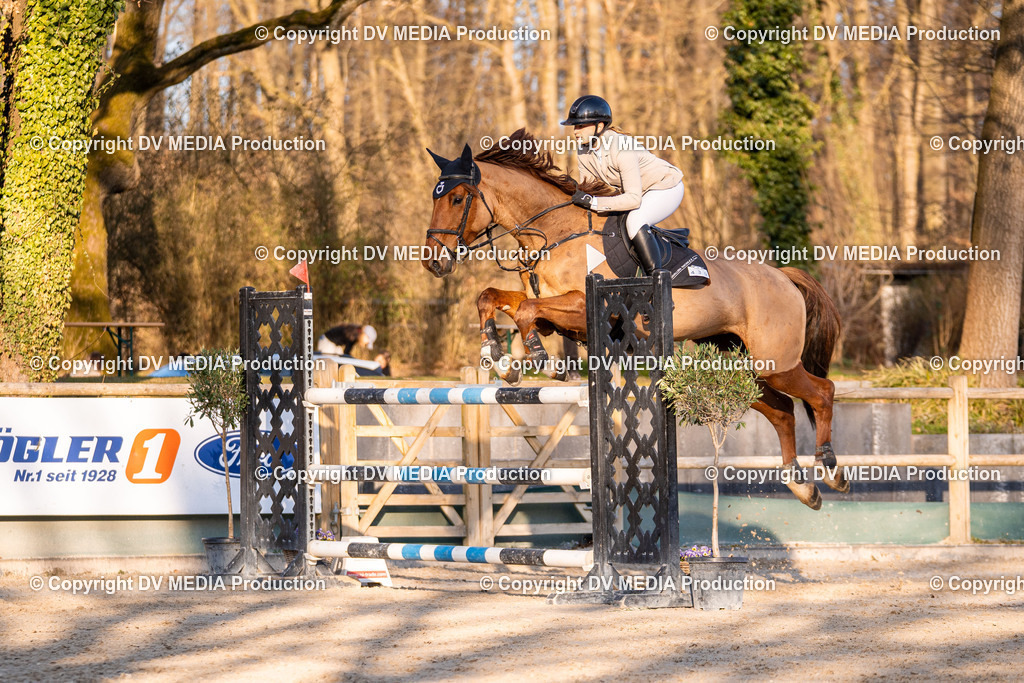 Kranichstein Tag 2-1075 | dv-media-shop - Realisiert mit Pictrs.com