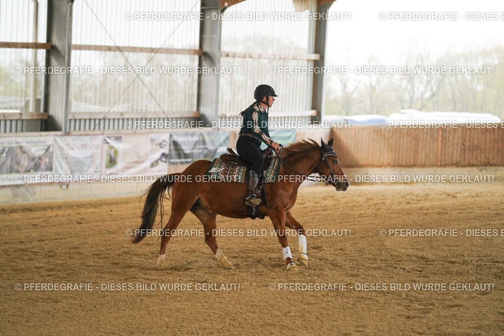 DSC08097 | Pferdegrafie