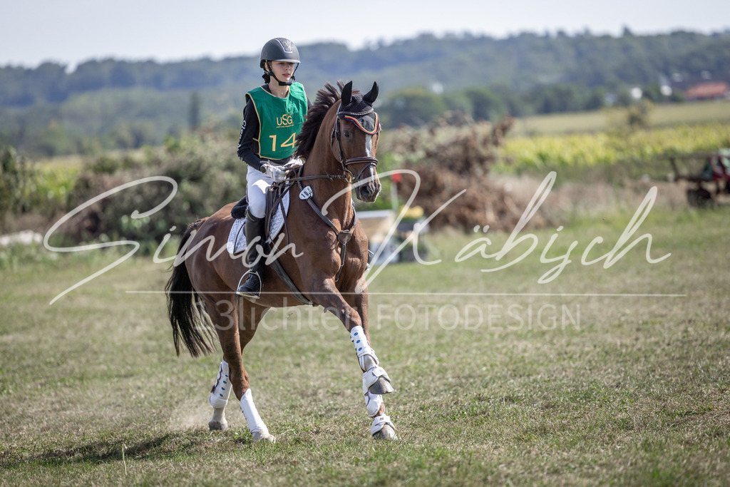 20250907-_3LI1476 | Tierfotografie Pferde, Hunde, Katzen, Haustiere.
Turnierfotografie Reitturniere, Reiten, Springreiten, Dressur in Hanau, dem Main-Kinzig-Kreis und dem Rhein-Main- Gebiet um Frankfurt