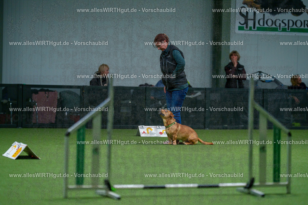 7R502356 | Professionelle Tierfotografie in Mönchengladbach von Daniel Wirth (allesWIRTHgut). Liebevolle & natürliche Bilder von Hunden & Katzen für unvergessliche Erinnerungen.