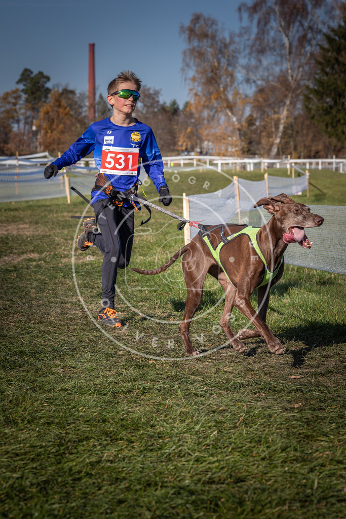 CaniXpix_0L8A7393 | Hundefotografie, Tierfotograf, Pfotenfotografie, Fotoshooting Hund, Hunde Portrait, Hundesport, Hundeportraits, Heideshooting, Hunde, Sportfotograf, Hundefotograf, Turnierhundsport, THS,  - Realisiert mit Pictrs.com
