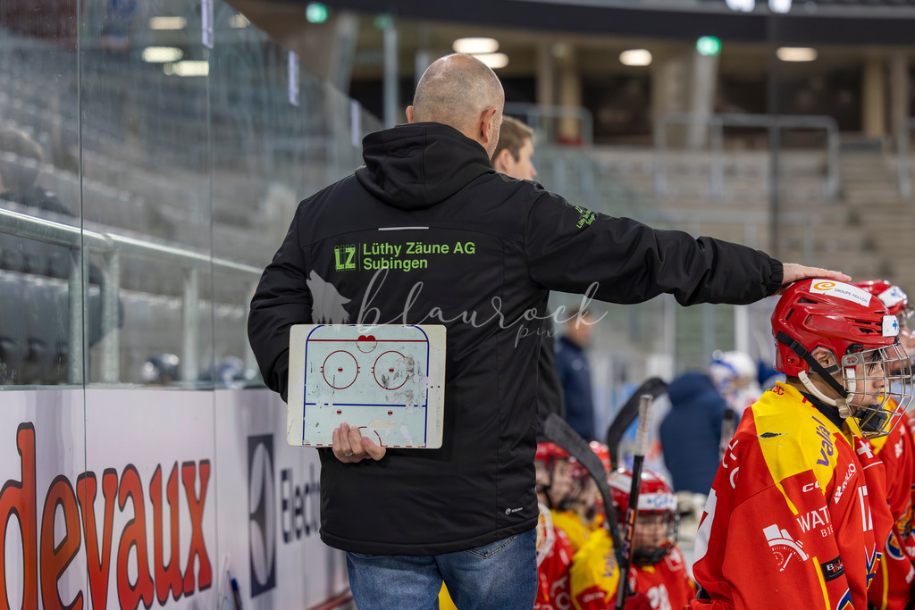 EHC Biel-Bienne vs GCK Lions - 25. November 2024 | EHC Biel-Bienne vs GCK LionsTissot Arena, Biel-BienneBild: Waltraud Blaurock | Blaurock Pix