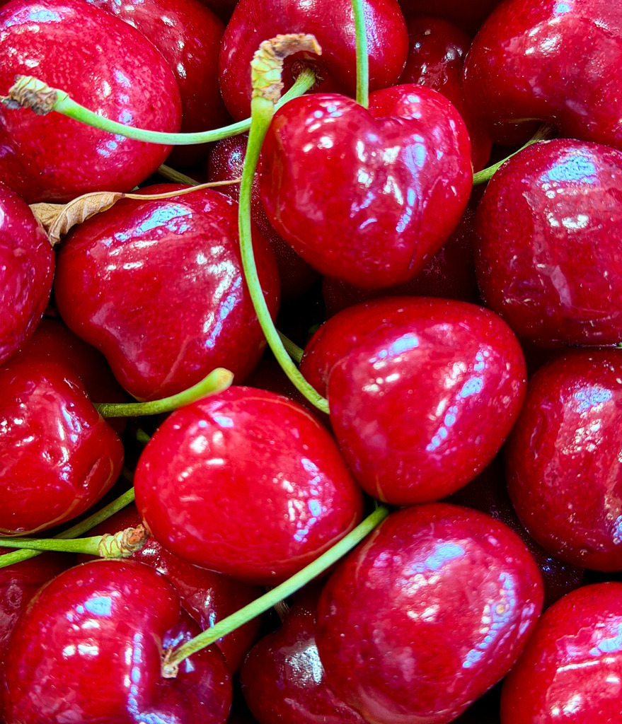 Pralles Sommerrot: Frische Kirschen im extremen Makro-Detail | Lichtdurchflutet, saftig und voller Energie. Diese hochaufgelöste Makroaufnahme von erntefrischen, knackigen Kirschen bringt die pure Lebendigkeit des Sommers direkt in deine Räume. Ein moderner, haptischer Farbtupfer, der als edler Fine Art Print, Leinwand oder unter glänzendem Acrylglas besonders in Küchen, Essbereichen und modernen Cafés brilliert. Handfotografiert von Robert Steinke. - Realisiert mit Pictrs.com