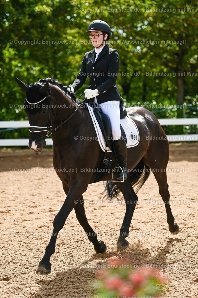 20230715_07_Dressurpferdeprfg. Kl.L_0176 | equistock