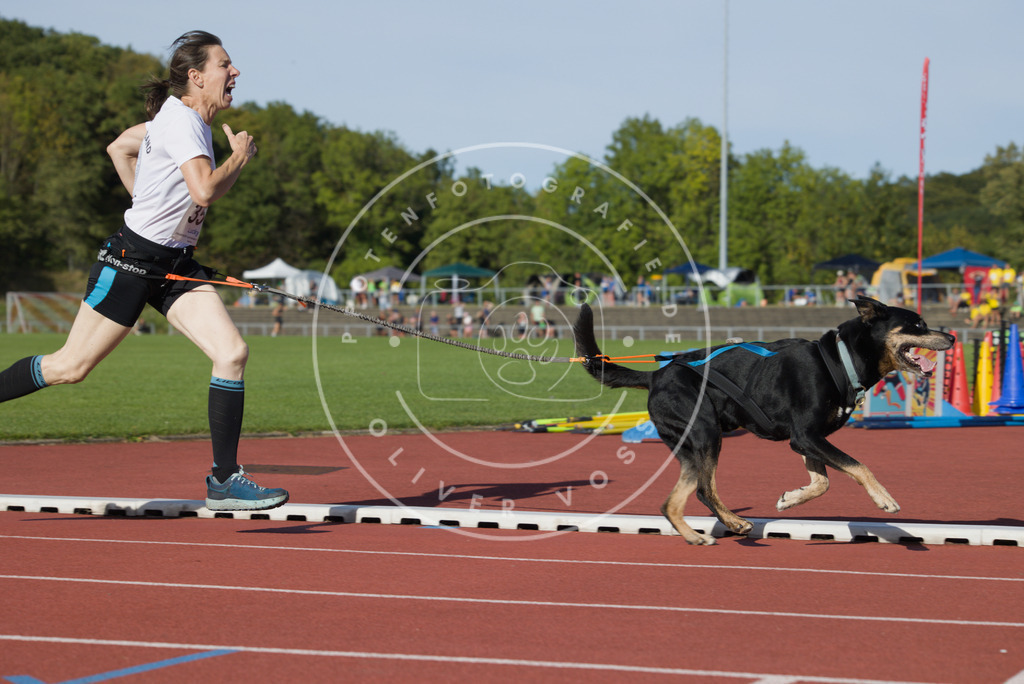 0L8A0173 | Hundefotografie, Tierfotograf, Pfotenfotografie, Fotoshooting Hund, Hunde Portrait, Hundesport, Hundeportraits, Heideshooting, Hunde, Sportfotograf, Hundefotograf, Turnierhundsport, THS,  - Realisiert mit Pictrs.com