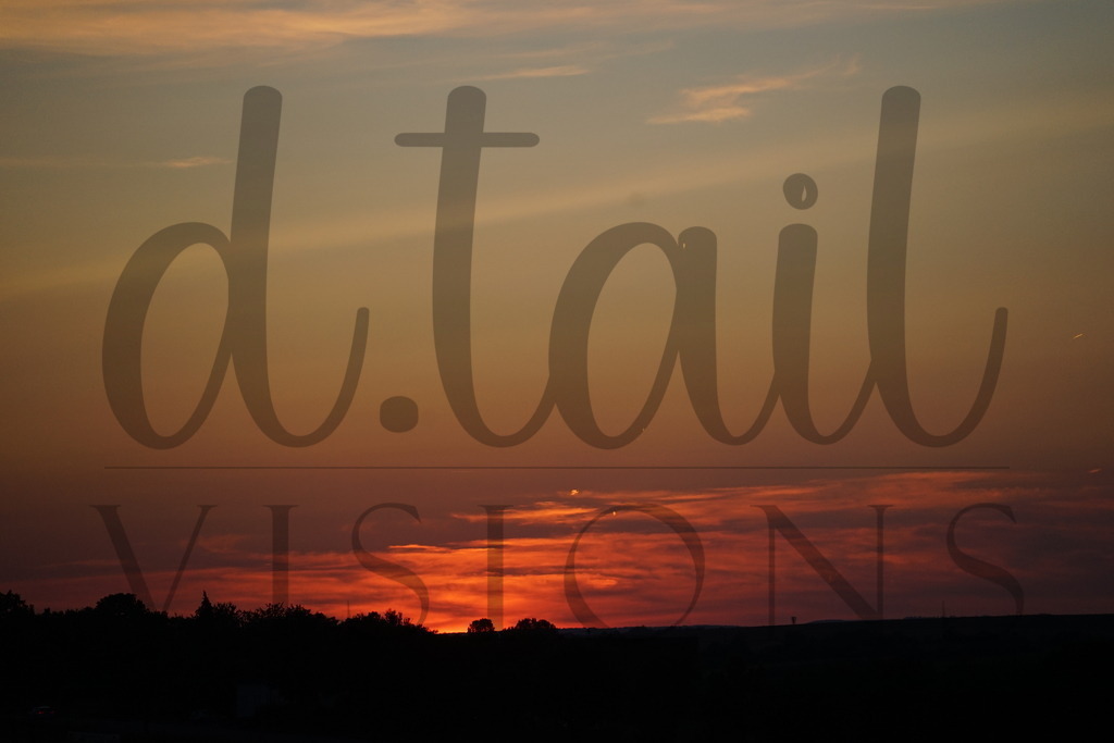 REC00974 | d.tail Visions - Shop - Realisiert mit Pictrs.com