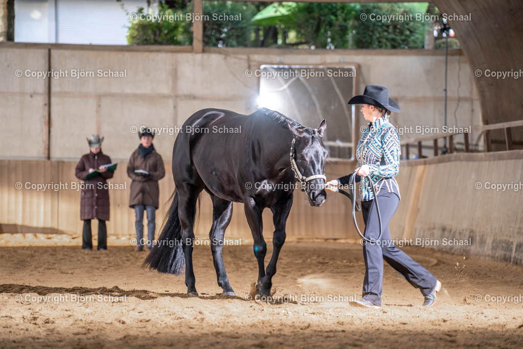 LMB07982 | BS-foto