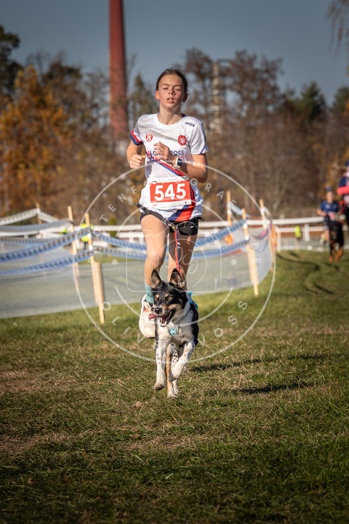 CaniXpix_0L8A7654 | Hundefotografie, Tierfotograf, Pfotenfotografie, Fotoshooting Hund, Hunde Portrait, Hundesport, Hundeportraits, Heideshooting, Hunde, Sportfotograf, Hundefotograf, Turnierhundsport, THS,  - Realisiert mit Pictrs.com