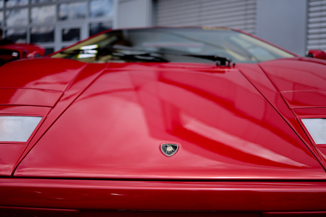 Calag_Oldtimer2025-17 | Ich fotografiere Hundeausstellungen, Sportanlässe, Zuchtstätten, Hundezucht, Hundeportrait, Lagotto - Realisiert mit Pictrs.com