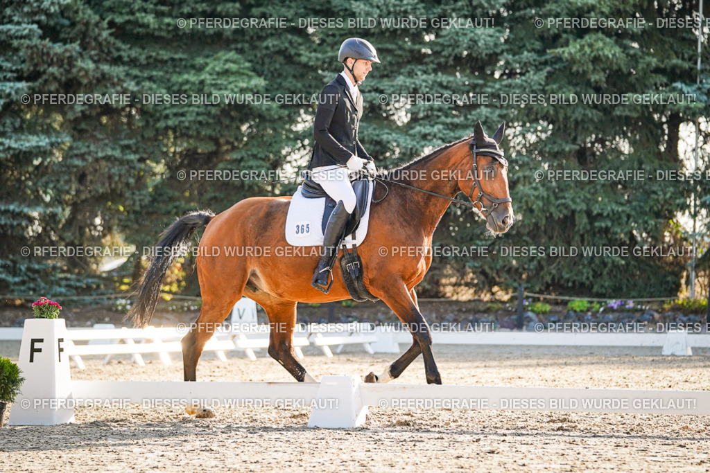 DSC08390 | Pferdegrafie