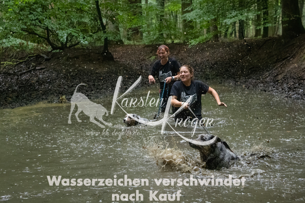 0939_ZZ91018-Bearbeitet | kk-dogfotos
