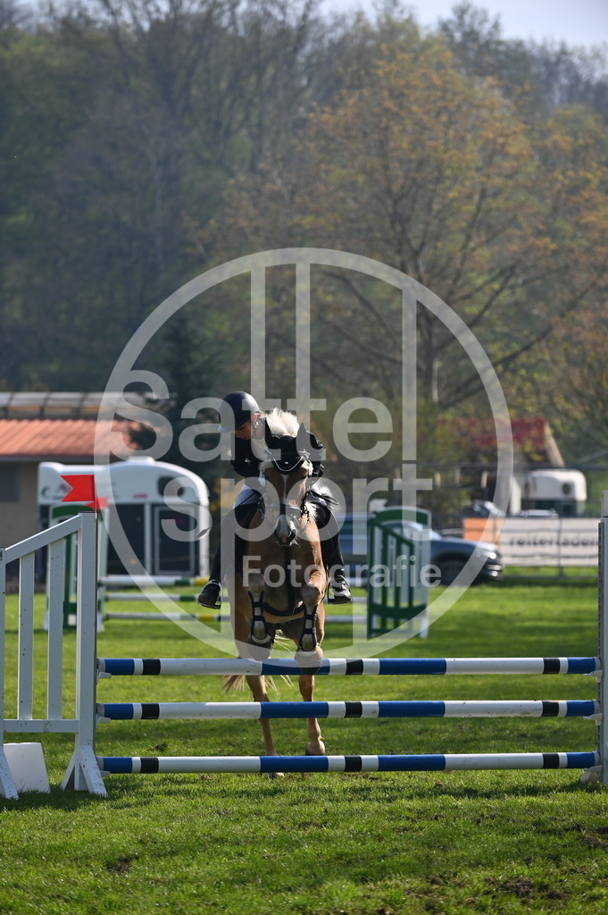 DSC_0077 | sattelsport - Realisiert mit Pictrs.com