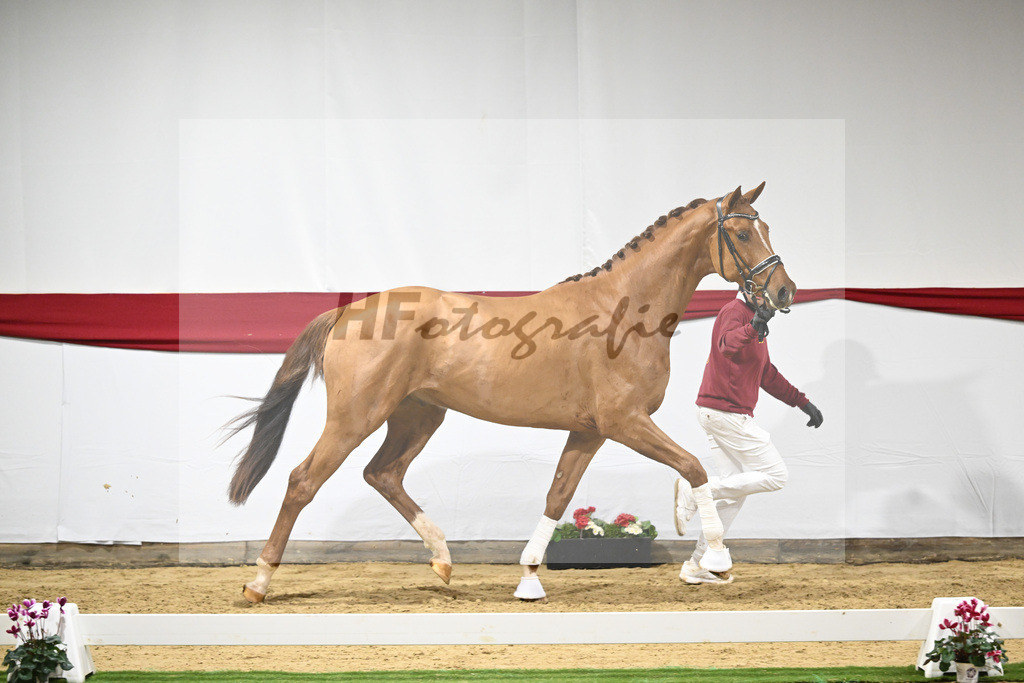 Kat-Nr. 52 v. Vivino_ZG Syha u Winkler_63221435 | hf-fotografie - Realizzato con Pictrs.com