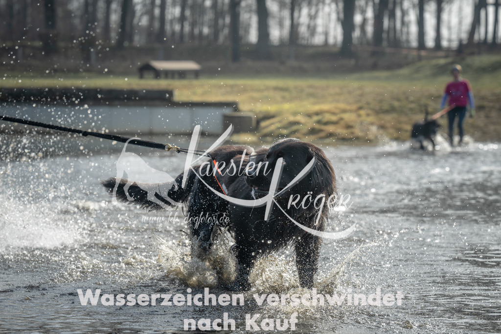 1019_ZZ96680 | kk-dogfotos