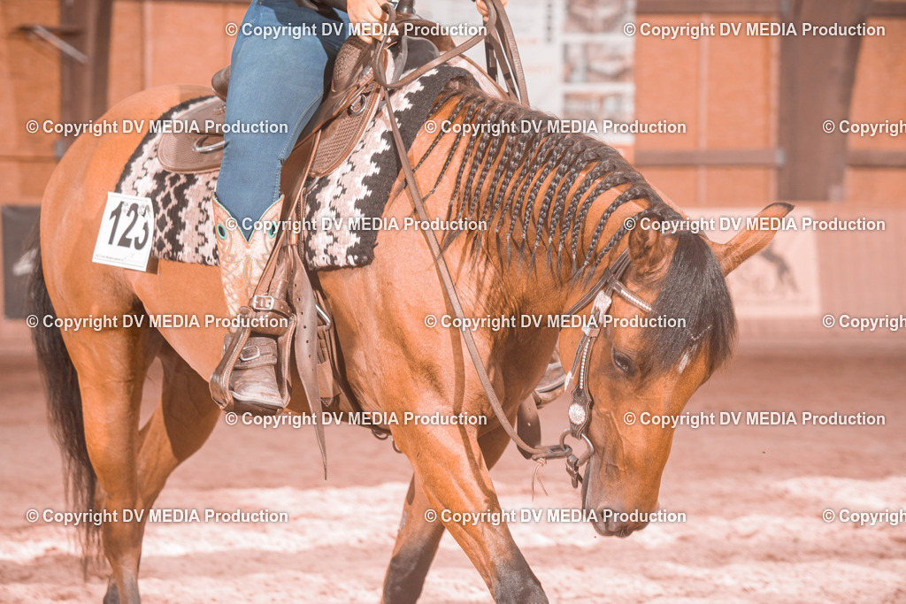 NE300475 | dv-media-shop - Realisiert mit Pictrs.com