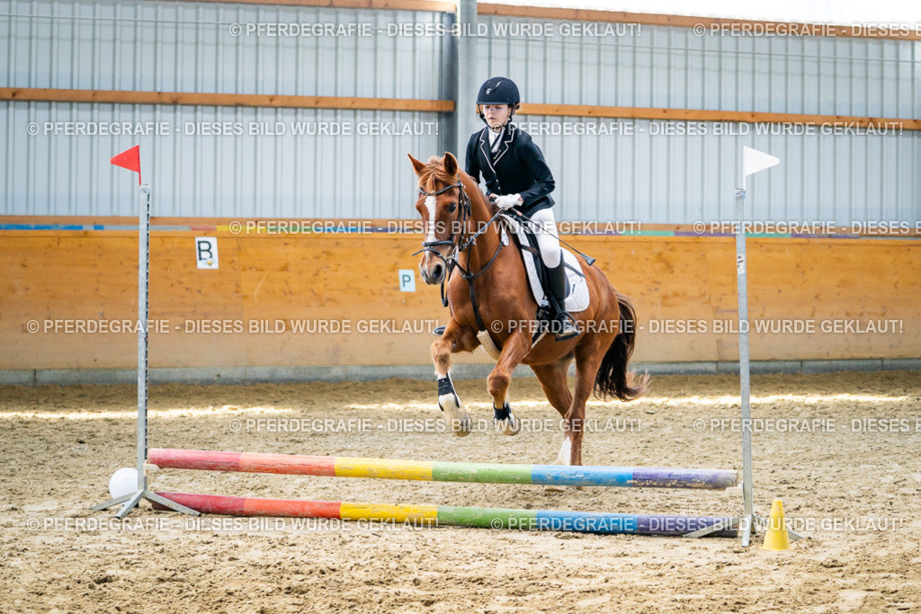 DSC02179 | Pferdegrafie