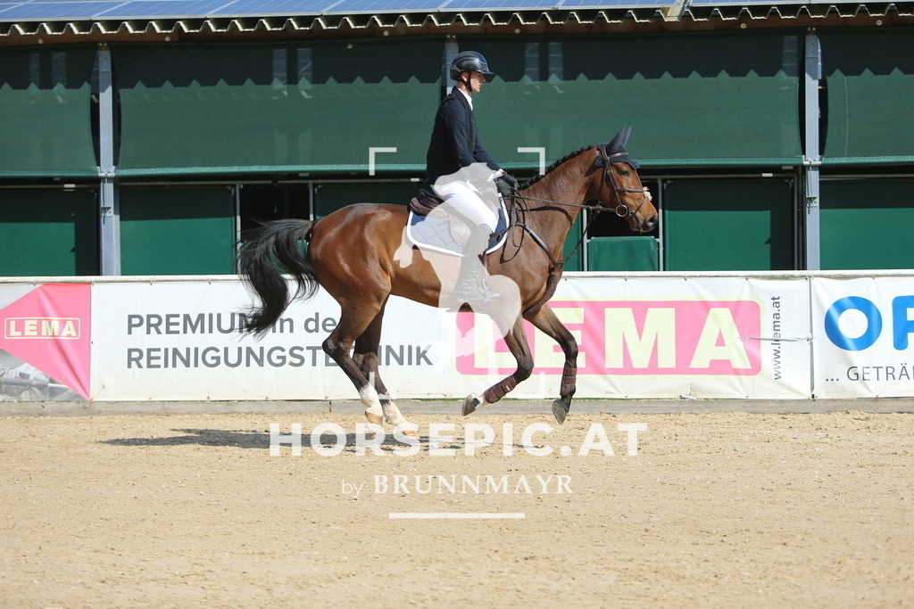 DL2Q8421 | Willkommen bei Brunnmayr - Design & Fotografie – Ihrem Spezialisten für Reitturniere und Pferdeveranstaltungen in Oberösterreich, Salzburg und Bayern! Seit über 17 Jahren sind wir leidenschaftlich dabei.