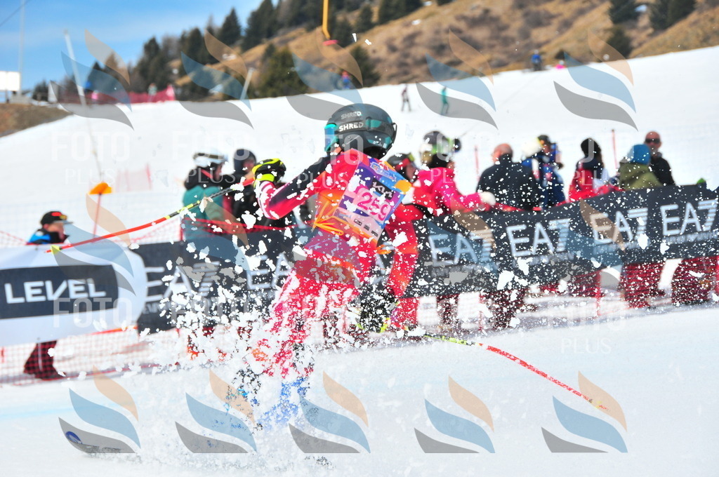 DSC_6174 | holidayphoto