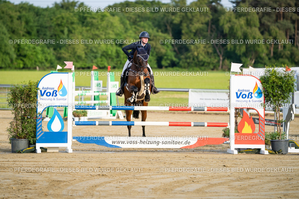 DSC01791 | Pferdegrafie