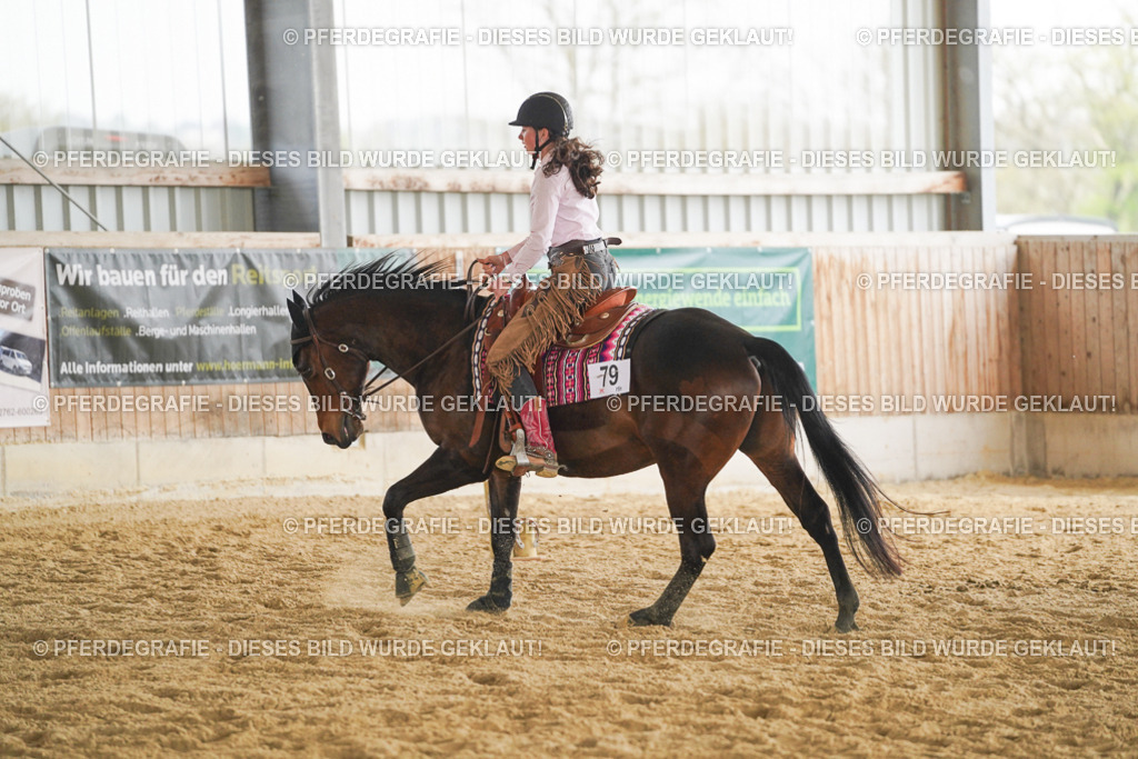 DSC05354 | Pferdegrafie