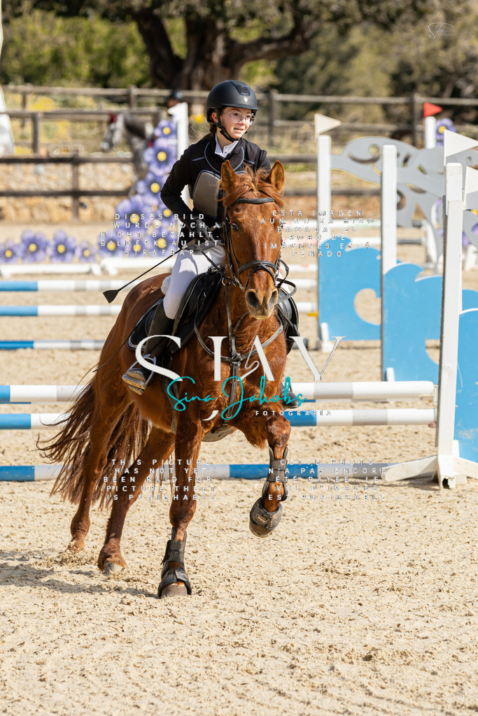 IMG_4333 | s-jay-photography - Realisiert mit Pictrs.com