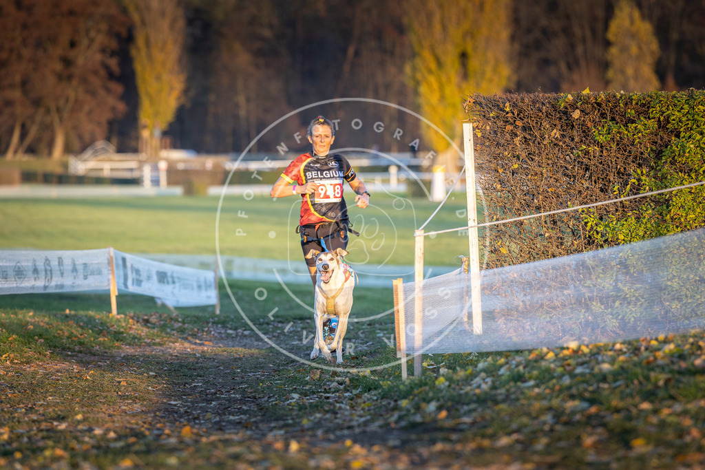 CaniXpix_DV3A5530 | Hundefotografie, Tierfotograf, Pfotenfotografie, Fotoshooting Hund, Hunde Portrait, Hundesport, Hundeportraits, Heideshooting, Hunde, Sportfotograf, Hundefotograf, Turnierhundsport, THS,  - Realisiert mit Pictrs.com