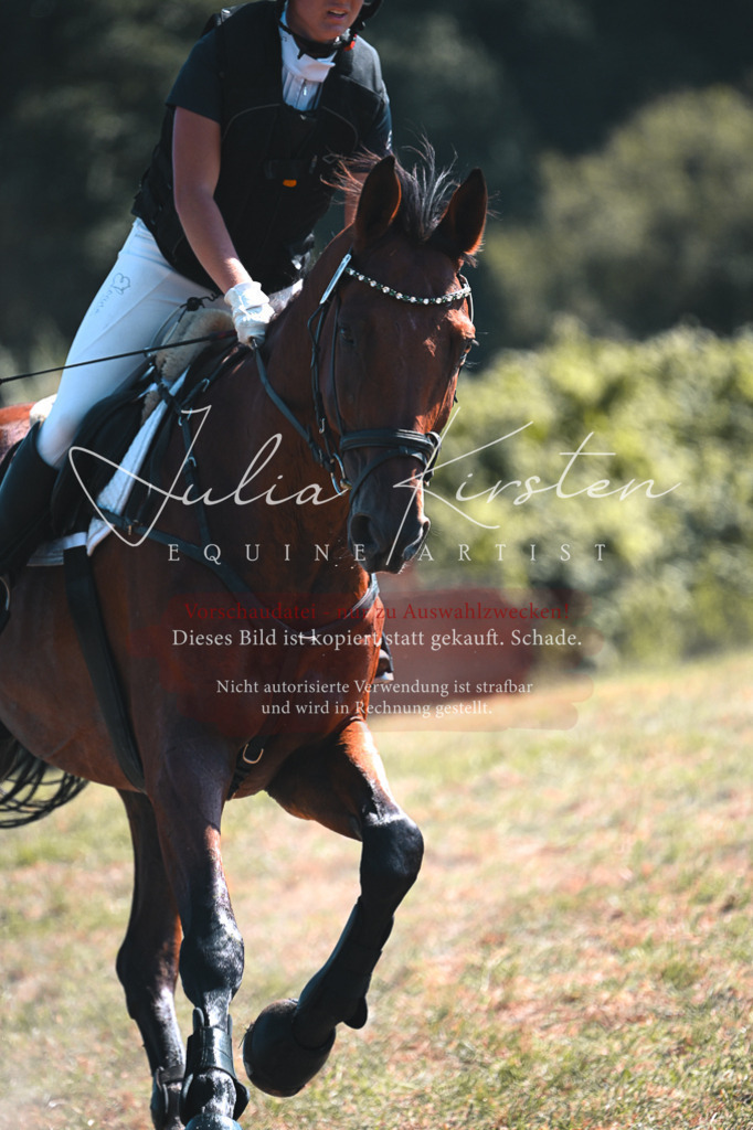 DSC_8402-2 | Pferde- und Turnierfotografie in Westsachsen. Pferdeportraits, Auftragszeichnungen und intuitive Kunst.