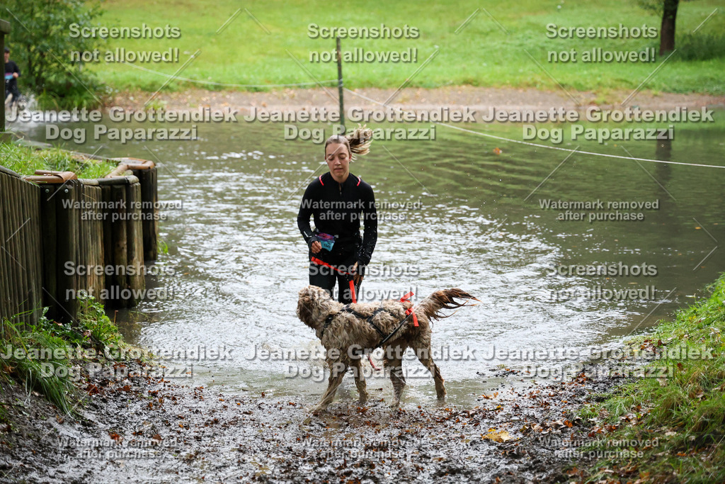 Dog Paparazzi -  SD1026-8427 | Dog Paparazzi Jeanette Grottendiek Fotografie & Videografie - Realisiert mit Pictrs.com