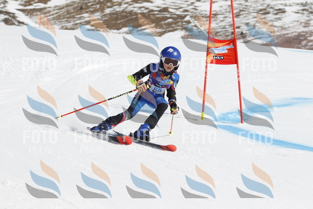 _U3G9720 | holidayphoto