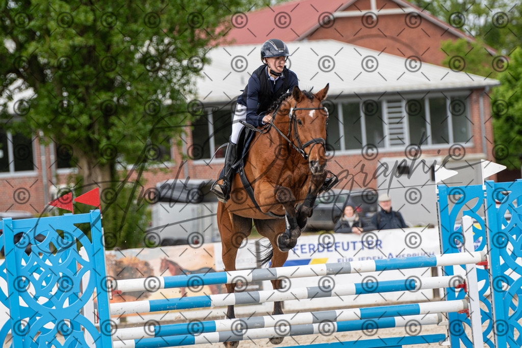 KPT_9899 | andre_photographic