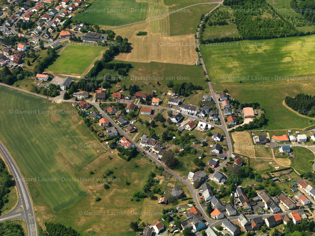 Fohren-Linden-3111076 | Fohren-Linden