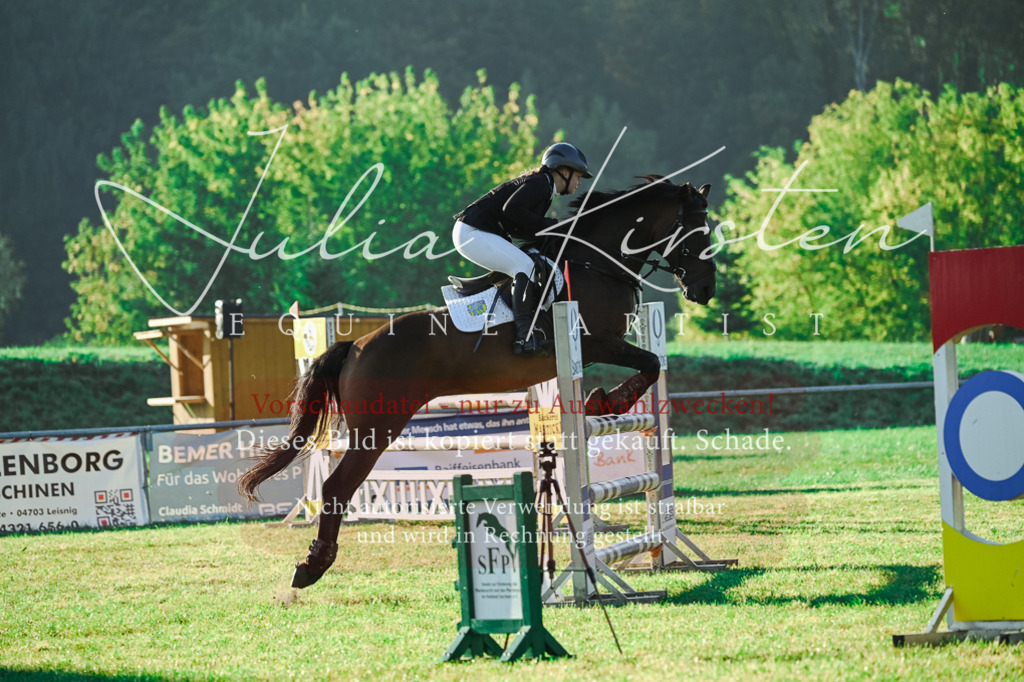 DSC_4261 | Pferde- und Turnierfotografie in Westsachsen. Pferdeportraits, Auftragszeichnungen und intuitive Kunst.