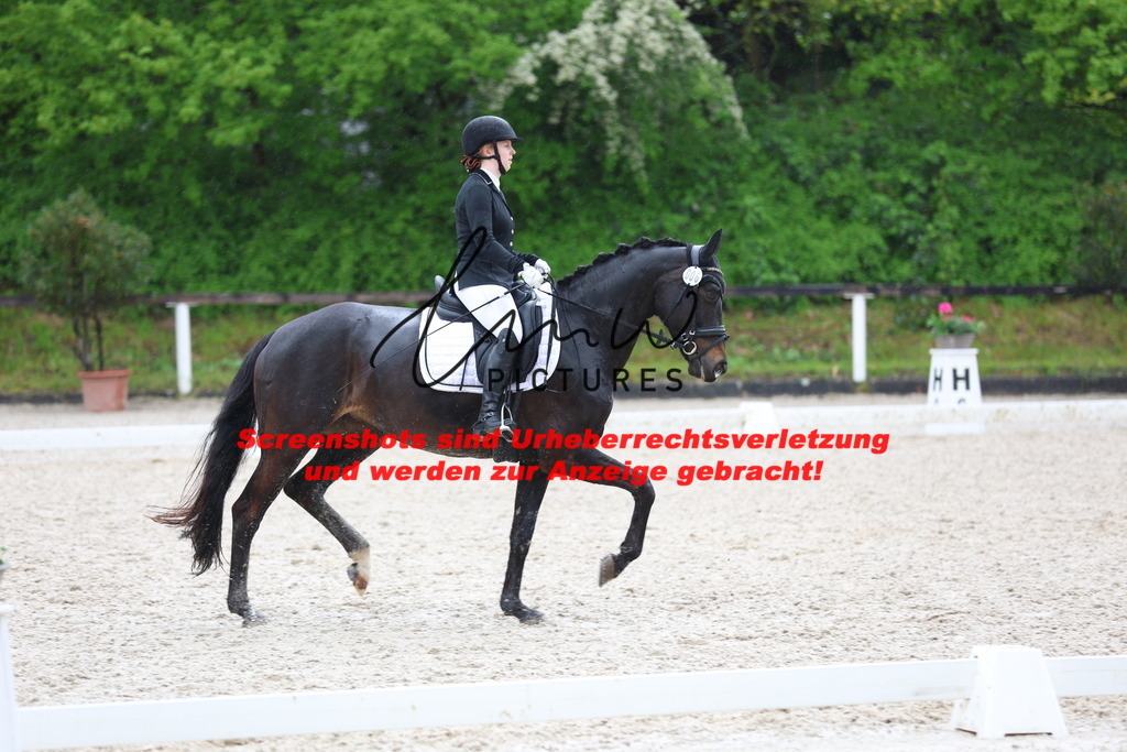 A40A9512 | lmwpictures - Realisiert mit Pictrs.com